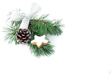 Dal Fir Noel dekorasyonu ve tarçınlı yıldız kurabiye