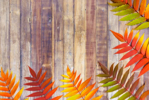Autumn Leaves Border on Wooden Background