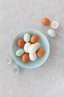 Ördek ve bir kase tavuk yumurtası 