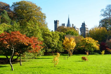 Bute Park ve sonbaharda Cardiff Castle