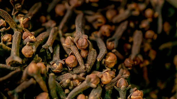 Close up clove dried spicy herb for cooking and natural medicine — ストック写真