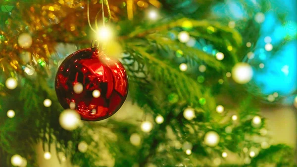 Kırmızı Altın Noel balosunu dallara yakın tutun. makro fotoğrafçılık dokusu arkaplanı