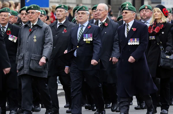 2015, Remembrance Day Parade, London — Stock Photo, Image