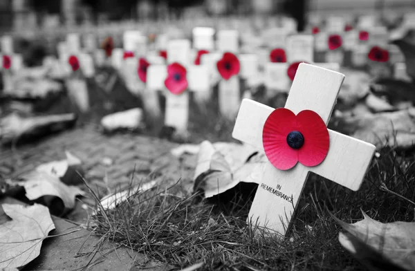 Croce di papavero nell'Abbazia di Westminster — Foto Stock