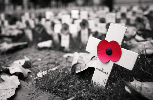 Cruz de amapola en la Abadía de Westminster — Foto de Stock