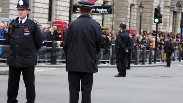 Remembrance Day Parade, London — ストック動画