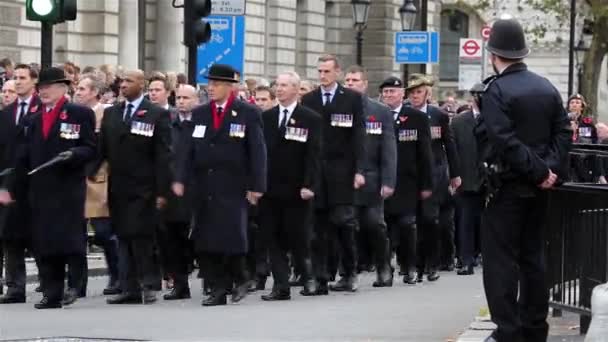 Remembrance Day Parade, London — Stock Video