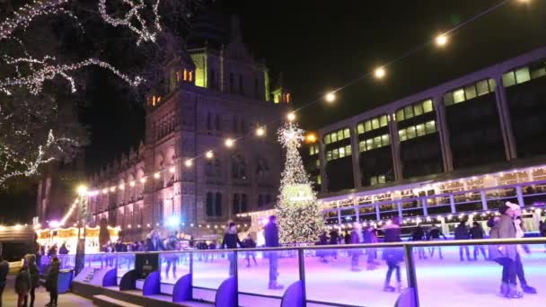 Night View of National History Museum Ice Rink — Stock Video