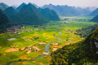 Vietnam'da manzara