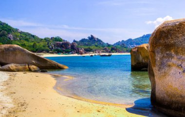 güzel bir plaj Vietnam