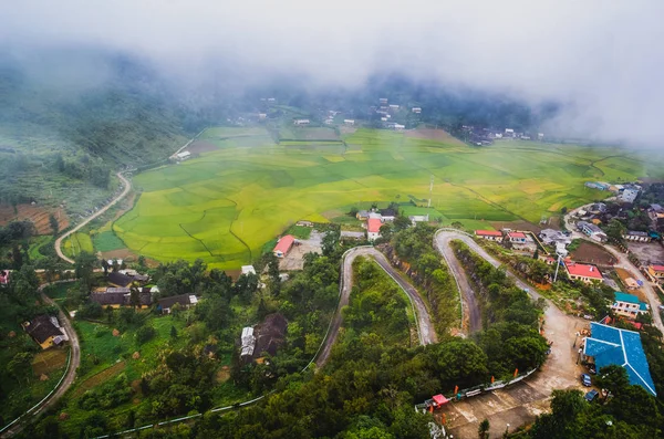 Terraço arroz campo na época da colheita em vietnam — Fotografia de Stock