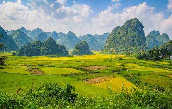 Vietnam'da manzara