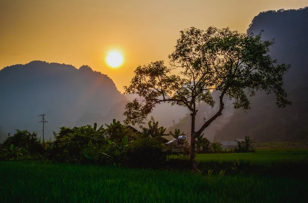 Vietnam'da manzara