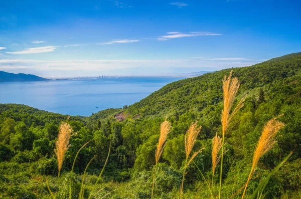 Güzel manzara Vietnam