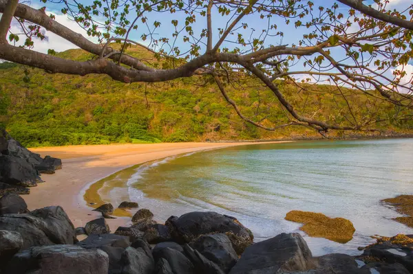 güzel bir plaj Vietnam