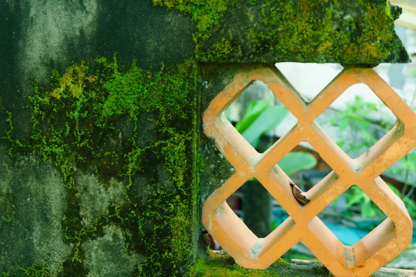 Moss ve penceresine eski duvar