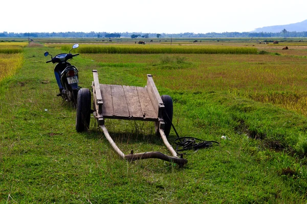 Ha Tinh, Vietnam 11 Eylül 2015: Vietnam çiftçi pirinç tarlaları çalışma.