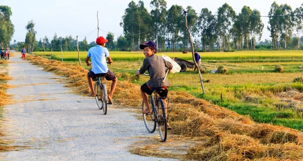 Ha Tinh, Vietnam 11 Eylül 2015: Vietnam çiftçi pirinç tarlaları çalışma.