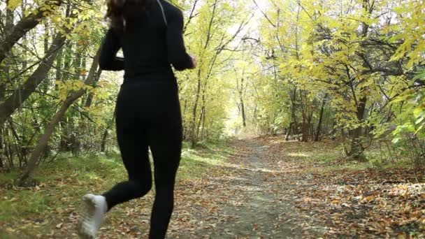 Una chica de negro corre por el bosque de otoño . — Vídeo de stock