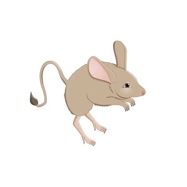 Cartoon cute jerboa on a white background — Stock Vector