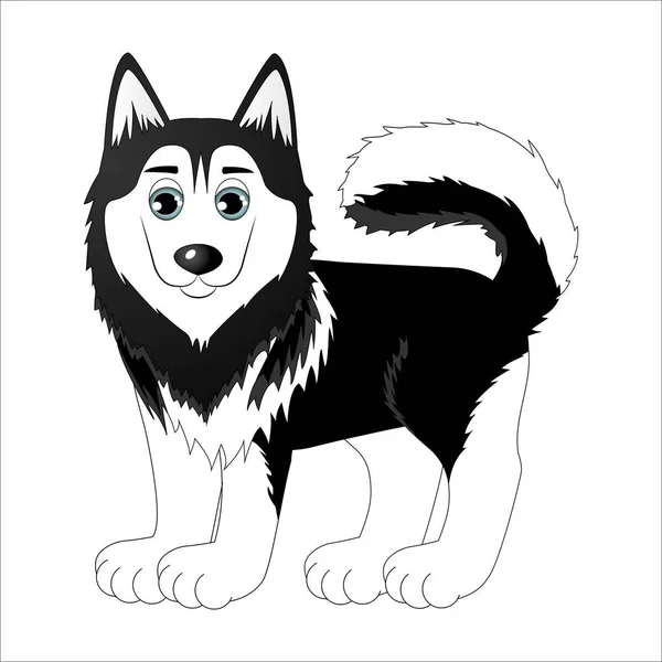 Mignon dessin animé husky sur un fond blanc — Image vectorielle