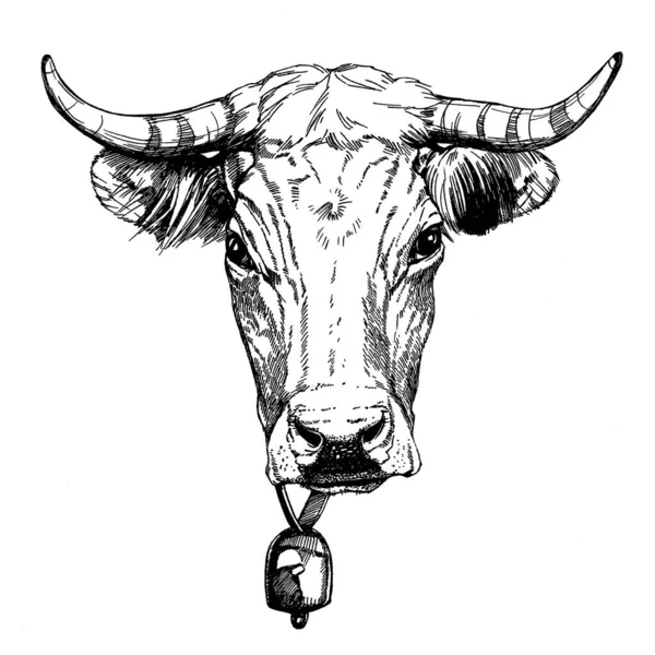 Grafica illustrazione fattoria animali Obrak mucca faccia — Foto Stock