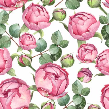 watercolor background pattern with bud, white and pink rose