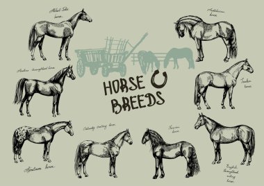 Free Horse Trotting Svg Free Horse Trotting Svg