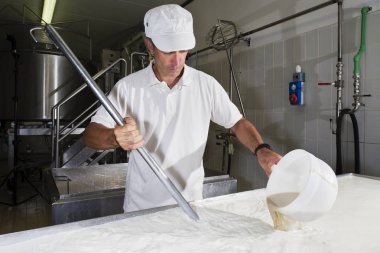 Cheesemaker peynir mayası dökülen