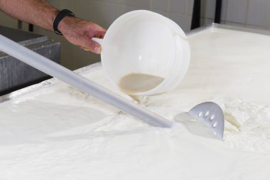 Cheesemaker peynir mayası dökülen