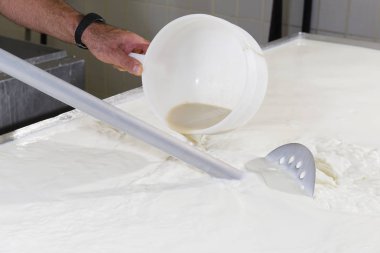 Cheesemaker pours rennet clipart