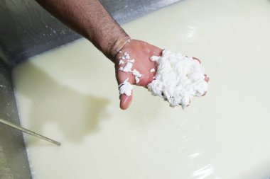 Cheesemaker lor süt kontrol eder.
