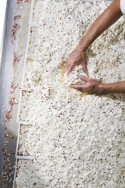 Sütçü aynı konteyner içine koymak taze peynir