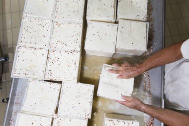 Sütçü aynı konteyner içine koymak taze peynir