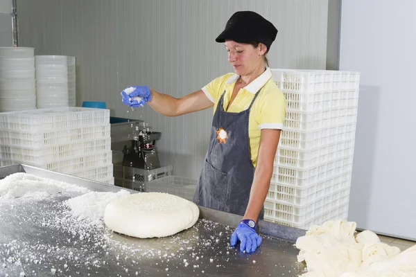 Salgadura de um pedaço de queijo — Fotografia de Stock