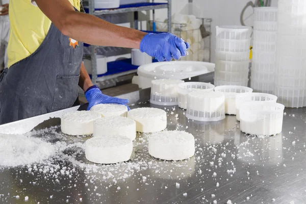 Salting of a piece of cheese — Stock Photo, Image