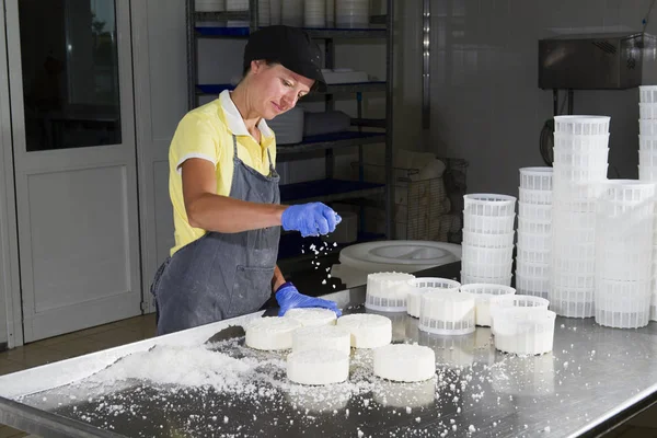 Salazón de un trozo de queso — Foto de Stock