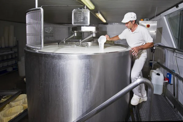 Cheesemaker pours rennet — Stock Photo, Image