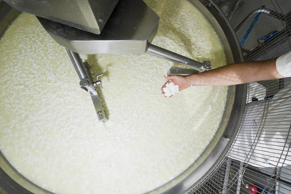 Cheesemaker controlla la cagliata di latte — Foto Stock