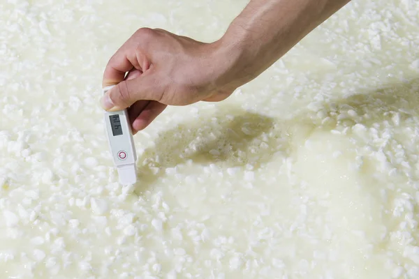 Cheesemaker medir la temperatura —  Fotos de Stock