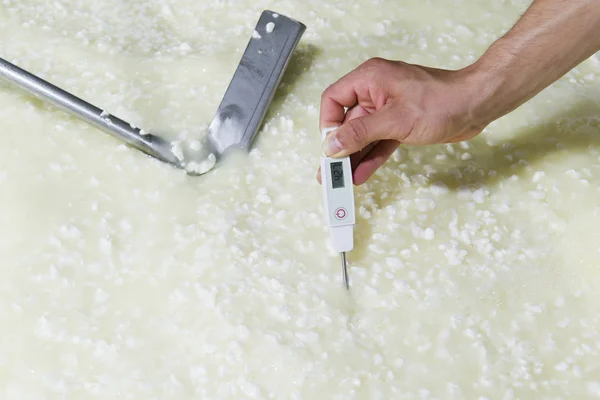 Cheesemaker medir temperatura — Fotografia de Stock