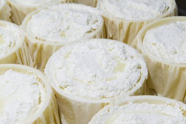 Cheesemaker taze peynir hazırlanması