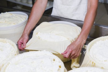 Cheesemaker taze peynir hazırlanması