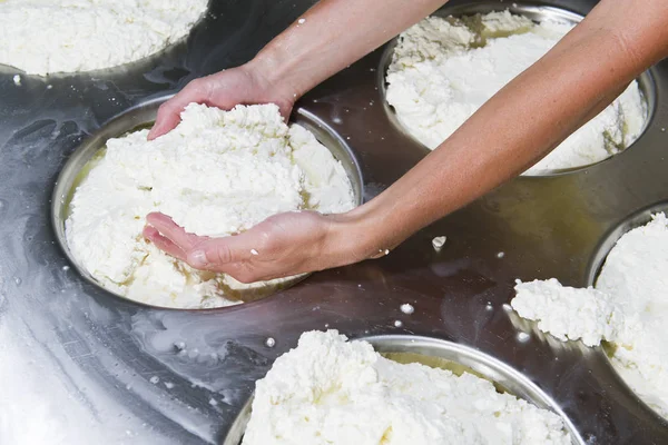 Queijeiro preparando queijo fresco — Fotografia de Stock