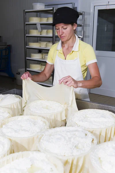 Queijeiro preparando queijo fresco — Fotografia de Stock