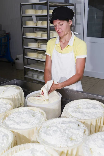 Queijeiro preparando queijo fresco — Fotografia de Stock