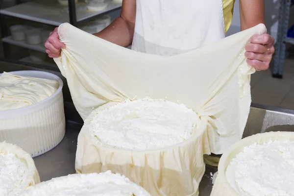 Queijeiro preparando queijo fresco — Fotografia de Stock