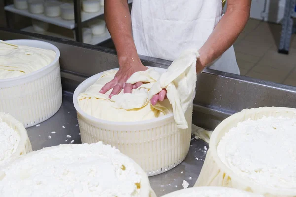 Queijeiro preparando queijo fresco — Fotografia de Stock