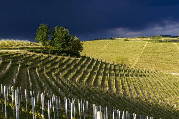 Blick über die Weinberge und Langa-Hügel während eines Gewitters — Stockfoto