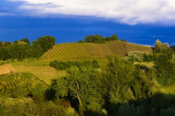 View of the vineyards and hills of Roero Piedmont Italy during a thunderstorm — Stock Photo, Image